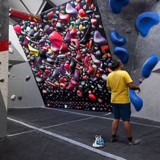 (CANVA) TCH London (OCTOBER 2023) ©Rob Battersby 5.jpg